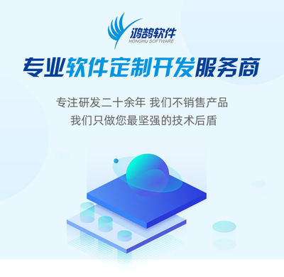 网站定制开发